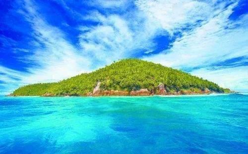 天气冷了花草该怎么养游戏画面