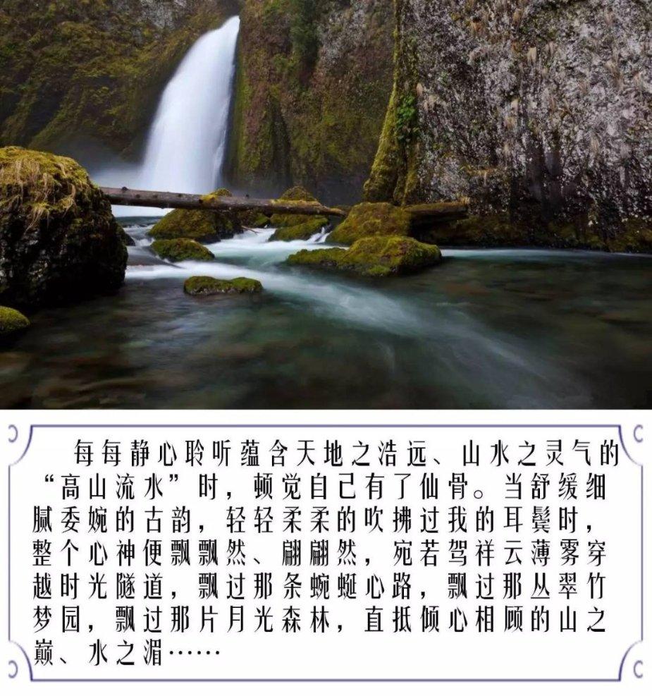 问答交流平台世界上谁的智商最高,专注解决你的疑惑